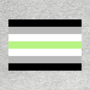 Agender Pride Flag T-Shirt